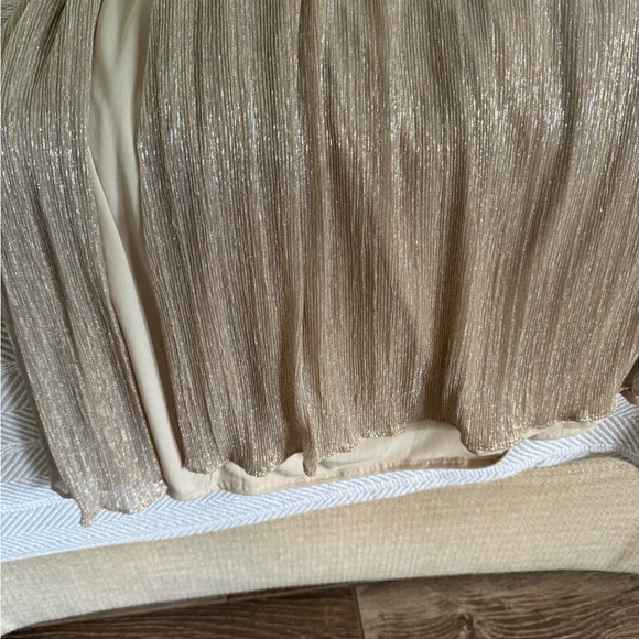 Beige/ gold gown. I wore one time as Mother of the groom - Picture 7 of 12